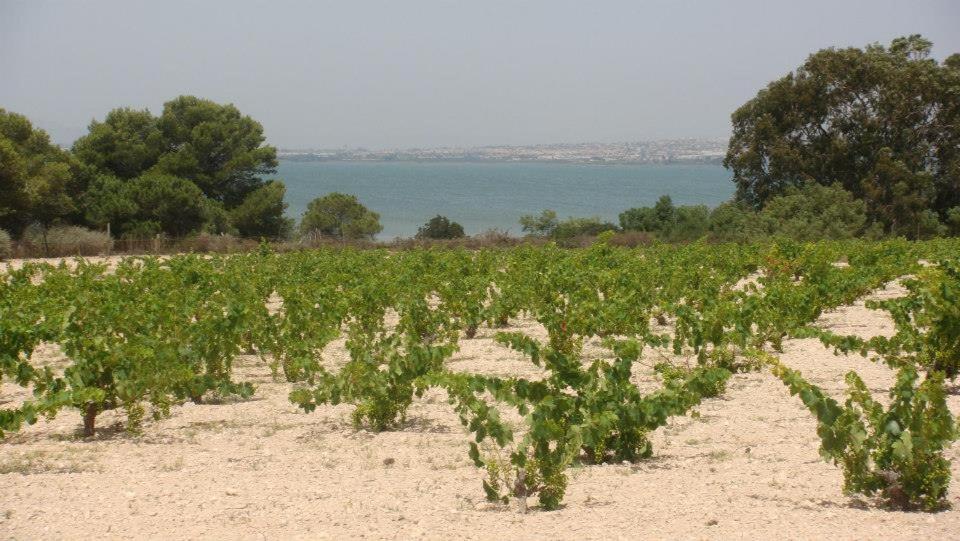 Lovely Apartment Near The Beach In Sunny La Mata Torrevieja Luaran gambar